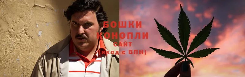 Бошки Шишки Ganja  Полярный 